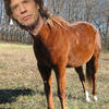 89944 - Unmoderated Celebrities and the objects which reveal their names - 1