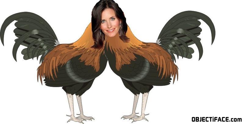 Courtneycox