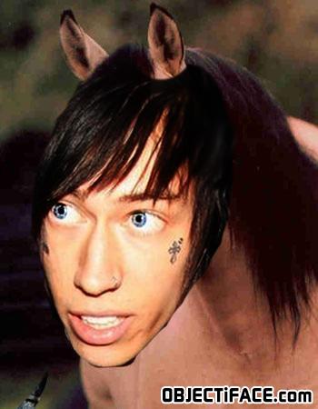 Tracecyrus