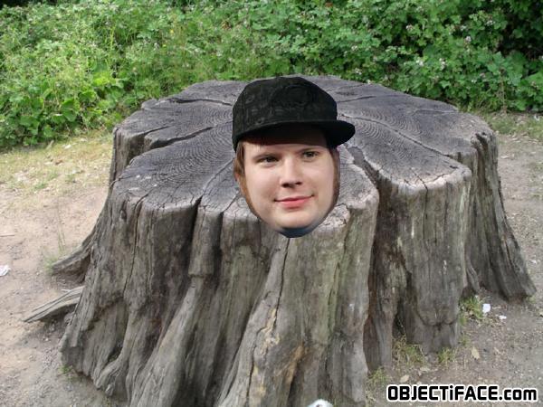 Patrick_tree_stump