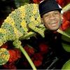 20896 - Unmoderated Celebrities and the objects which reveal their names - 4