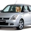 21297 - Unmoderated Celebrities and the objects which reveal their names - 1