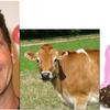 21361 - Unmoderated Celebrities and the objects which reveal their names - 1