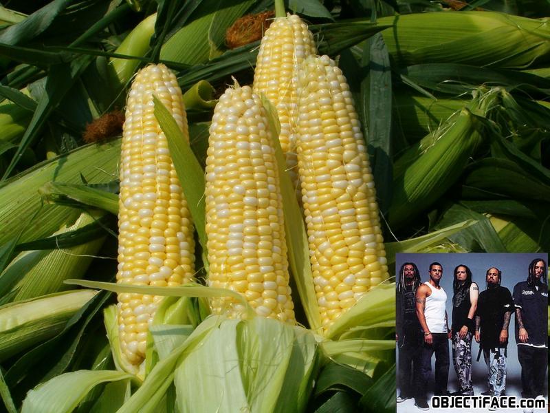 Corn