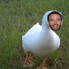 Benaflak