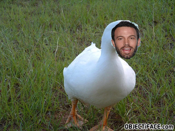 Benaflak