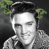 Elvis