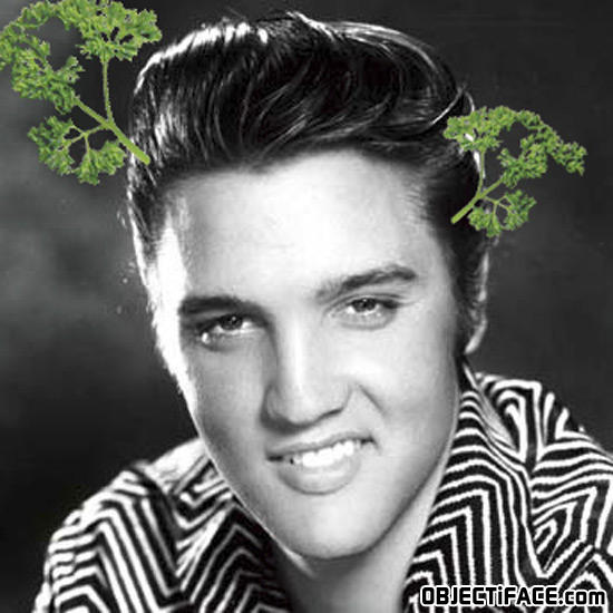 Elvis