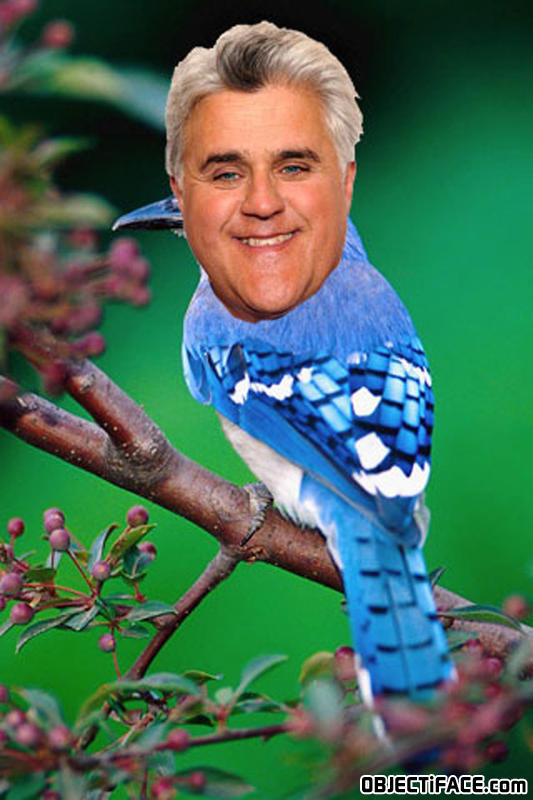 Jayleno