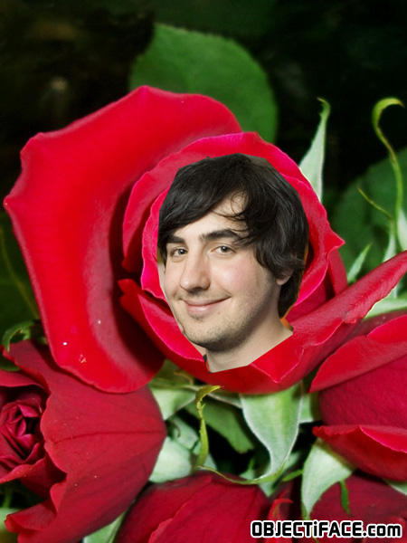 Kevinrose