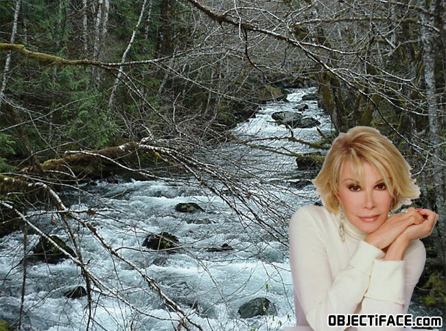 Joanrivers