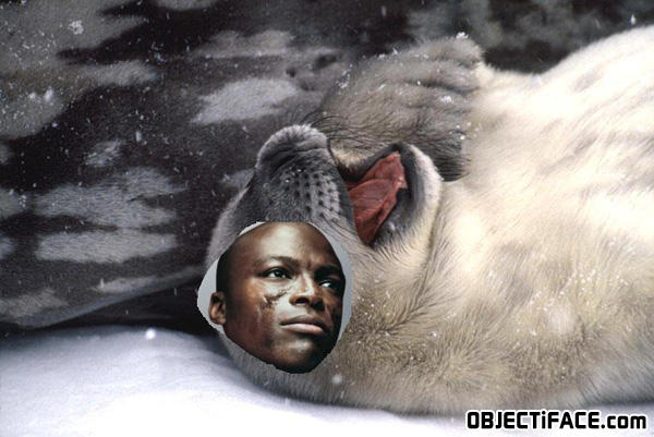Seal