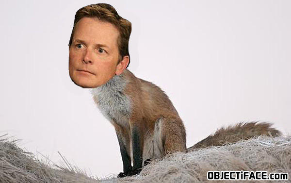 Michalejfox
