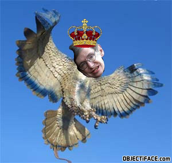 Stevenhawkins