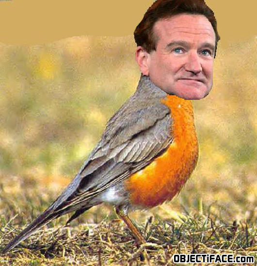 Robinwilliams