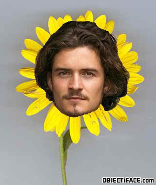 Orlandobloom