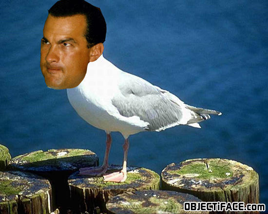 Segal