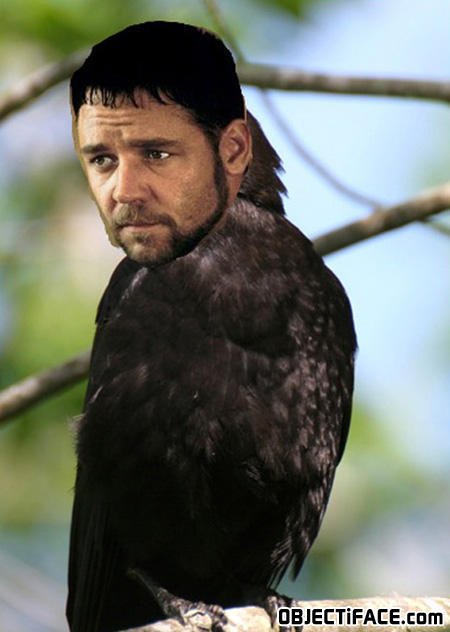 Russelcrow