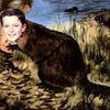 Beaver