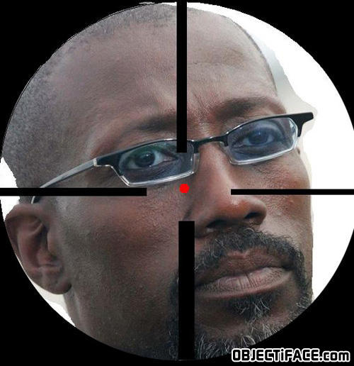 Weslysnipes