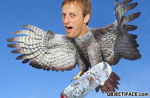 Tonyhawk