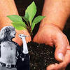 Robertplant