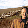 Samshepard