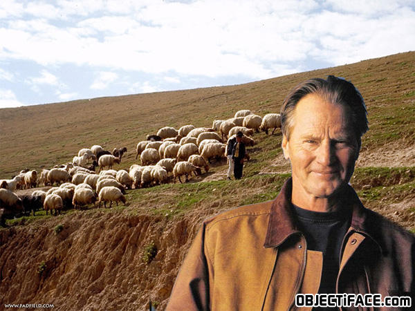 Samshepard