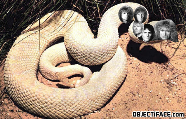 Whitesnake