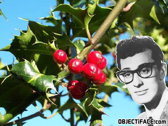 Buddy_holly